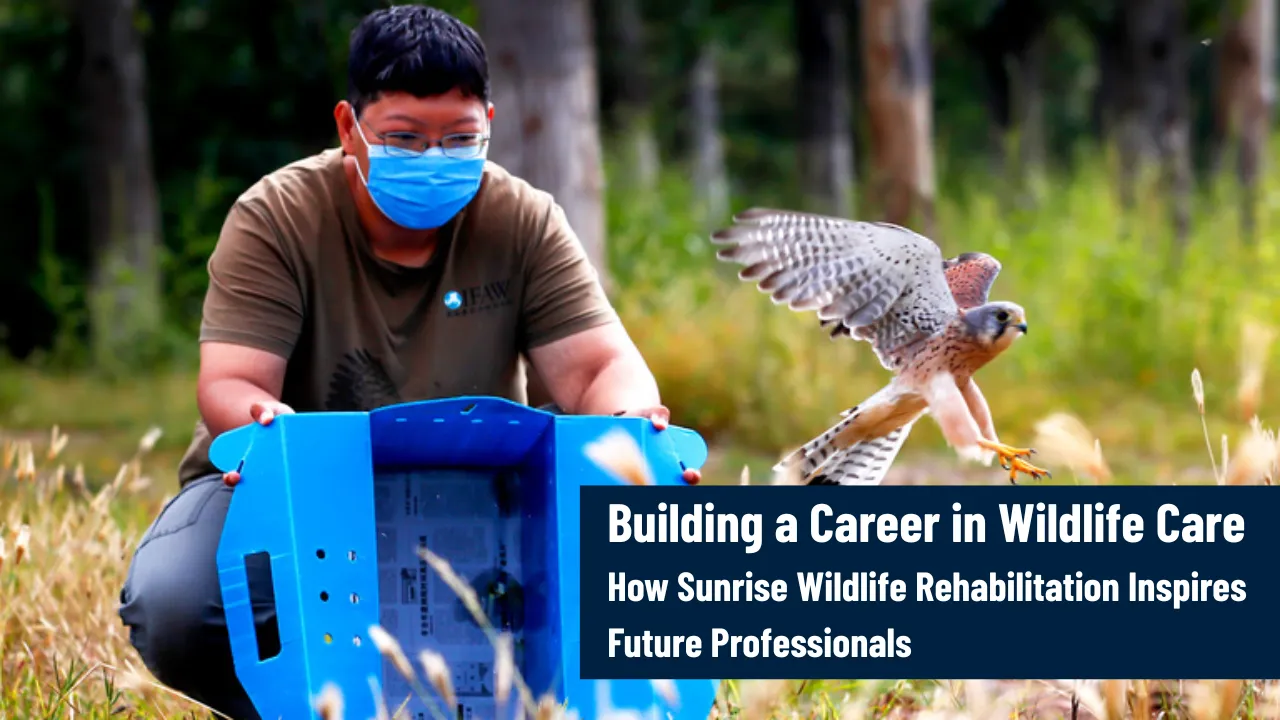 Building a Career in Wildlife Care