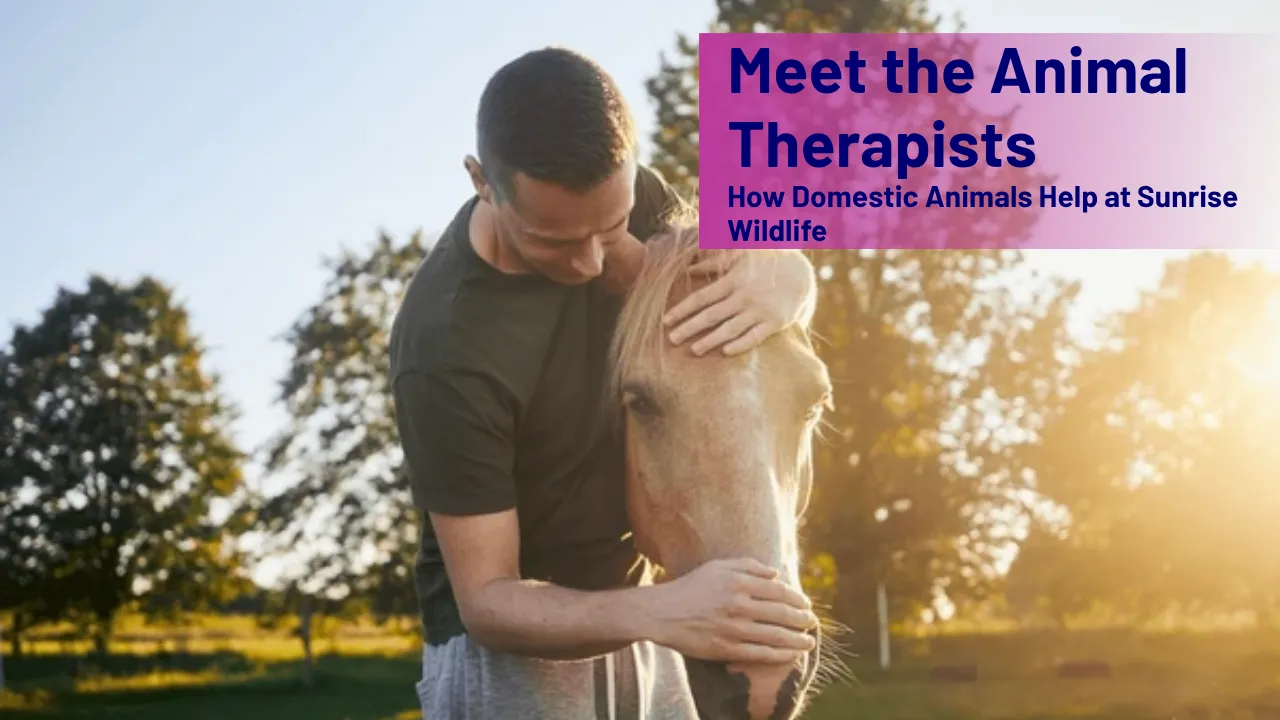 Meet the Animal Therapists