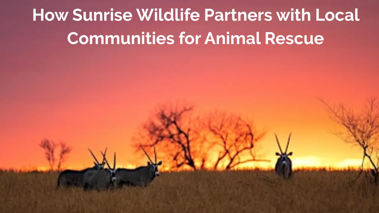 Sunrise Wildlife Builds Community