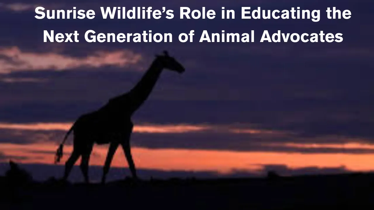 Sunrise Wildlife Inspires and Educates Young Animal Advocates