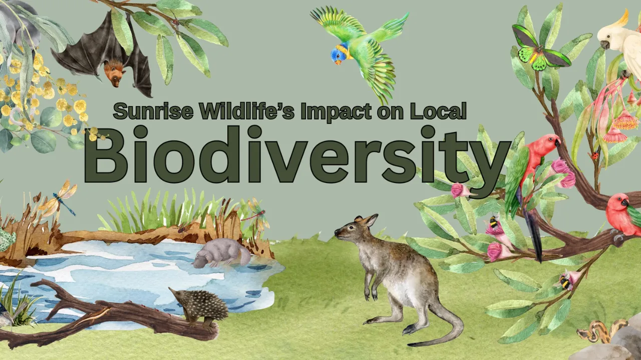 Sunrise Wildlife’s Impact on Local Biodiversity