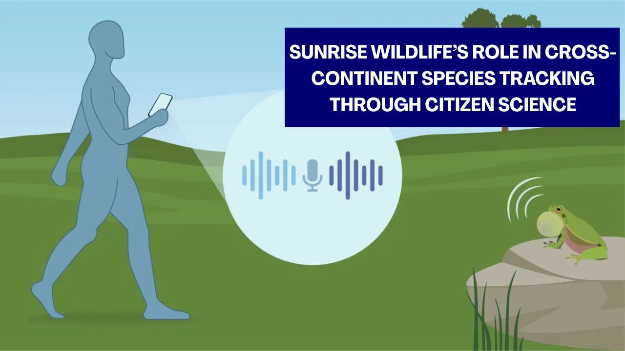 Citizen science