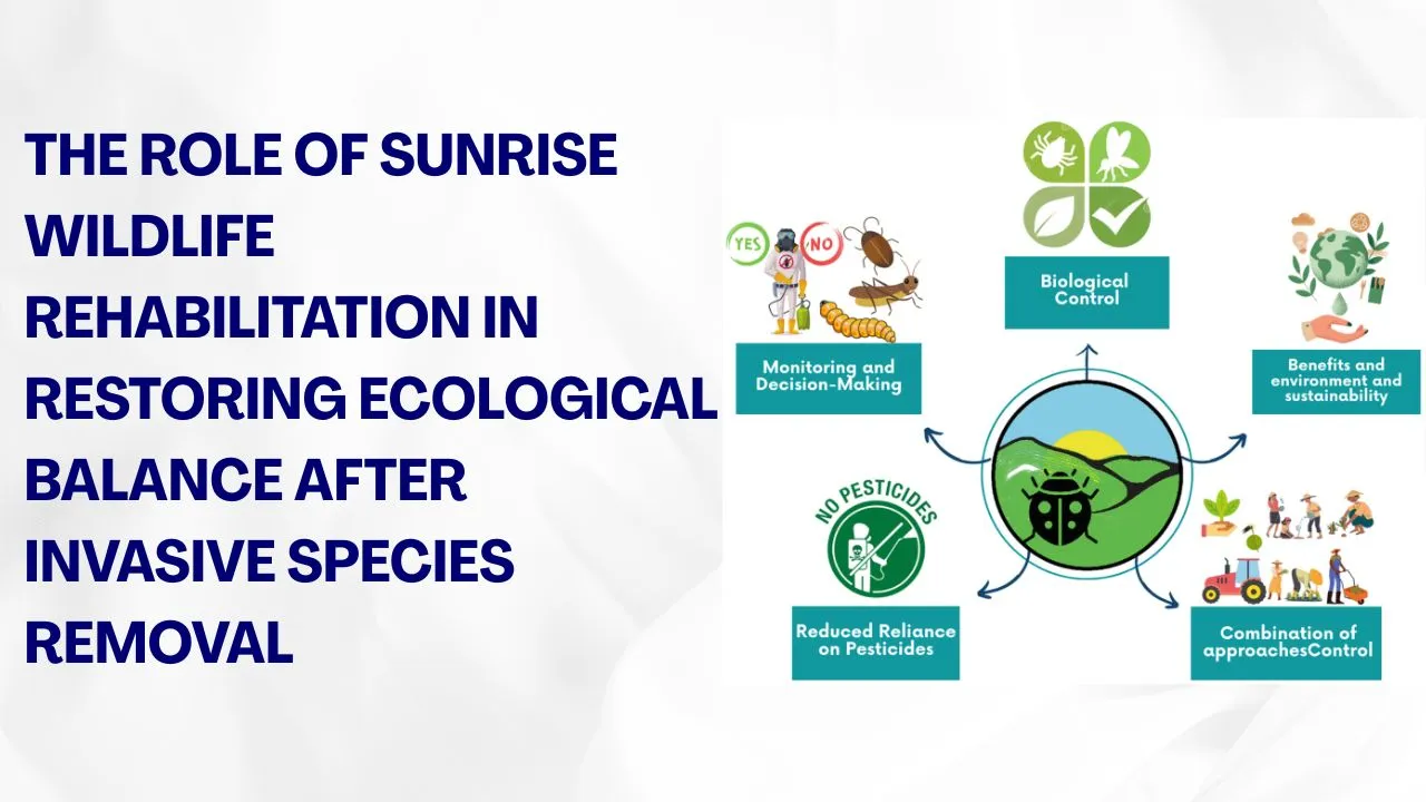 Ecological Balance After Invasive Species Removal