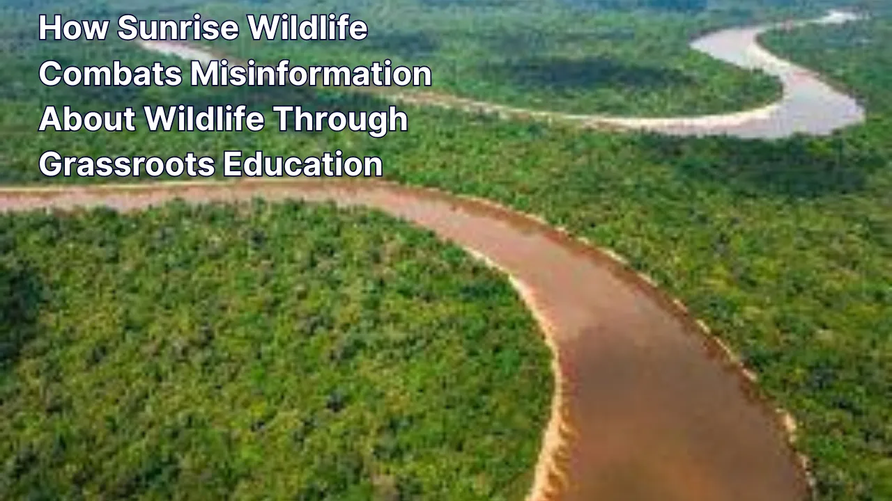 How Sunrise Wildlife Is Rewriting the Story of Nature