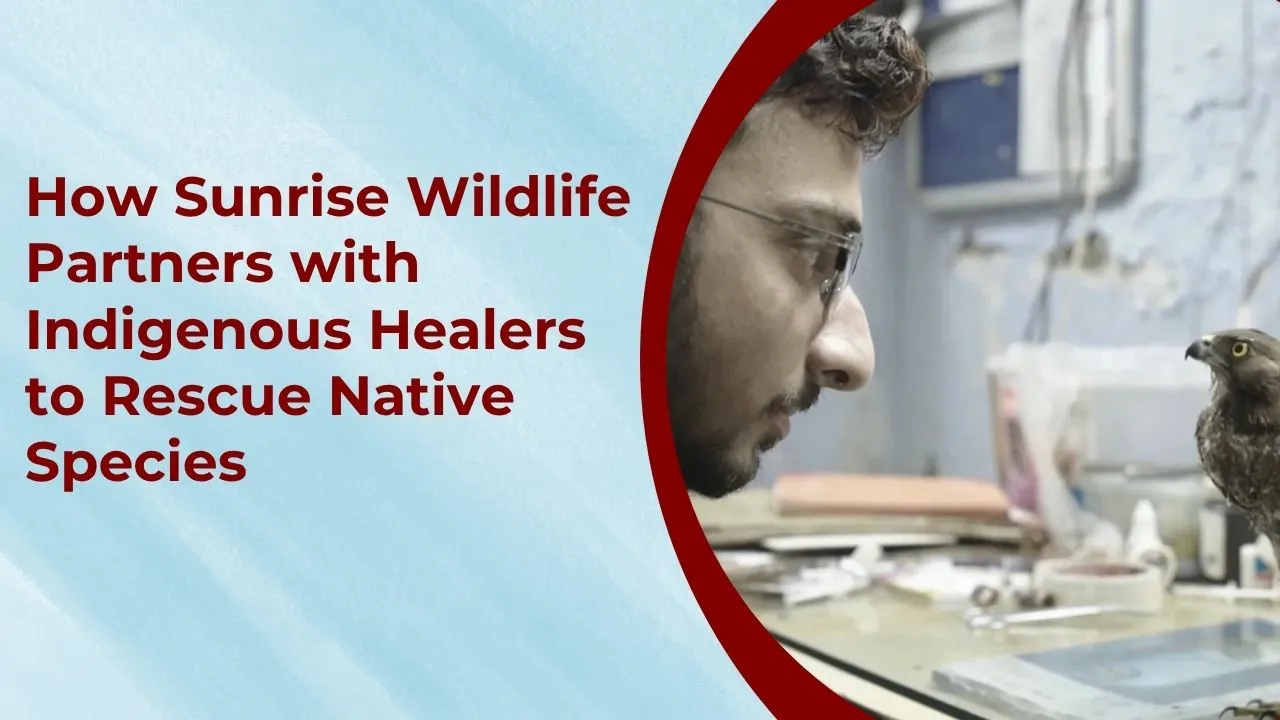 Indigenous Healers