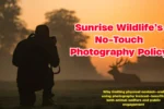 No-Touch Photography Policy