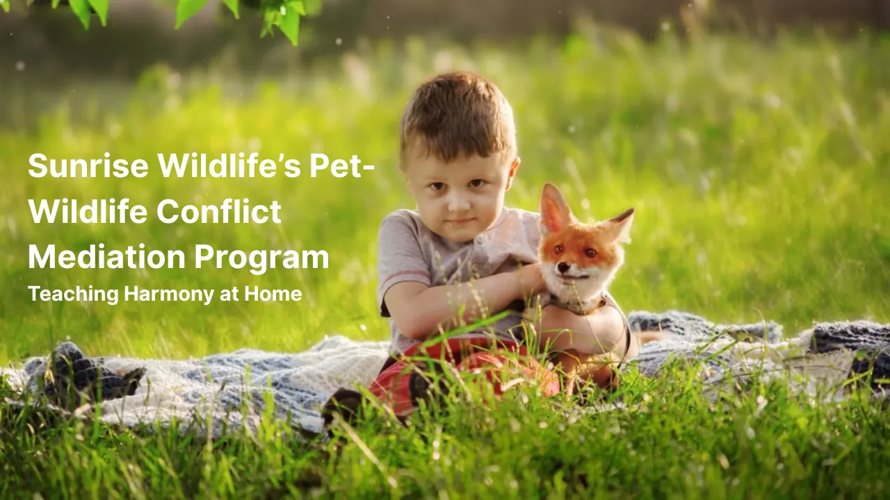 Pet-Wildlife Conflict