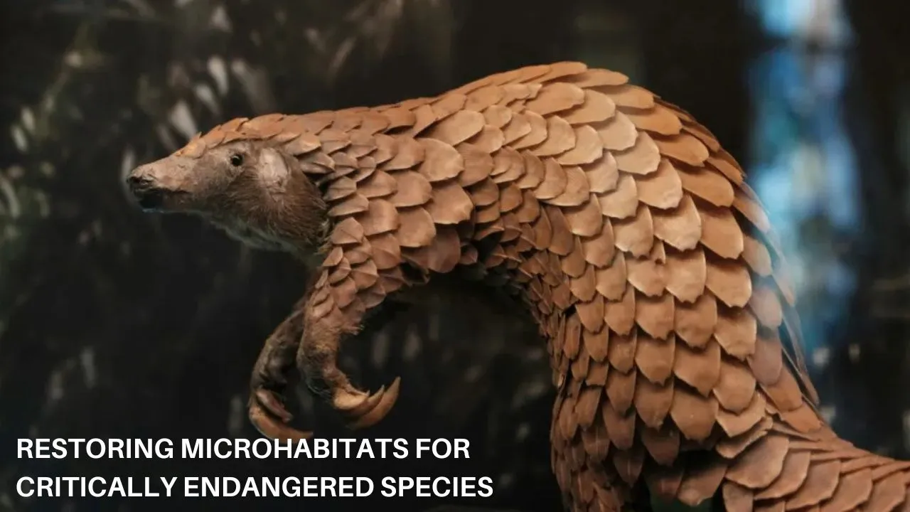 Restoring Microhabitats for Critically Endangered Species