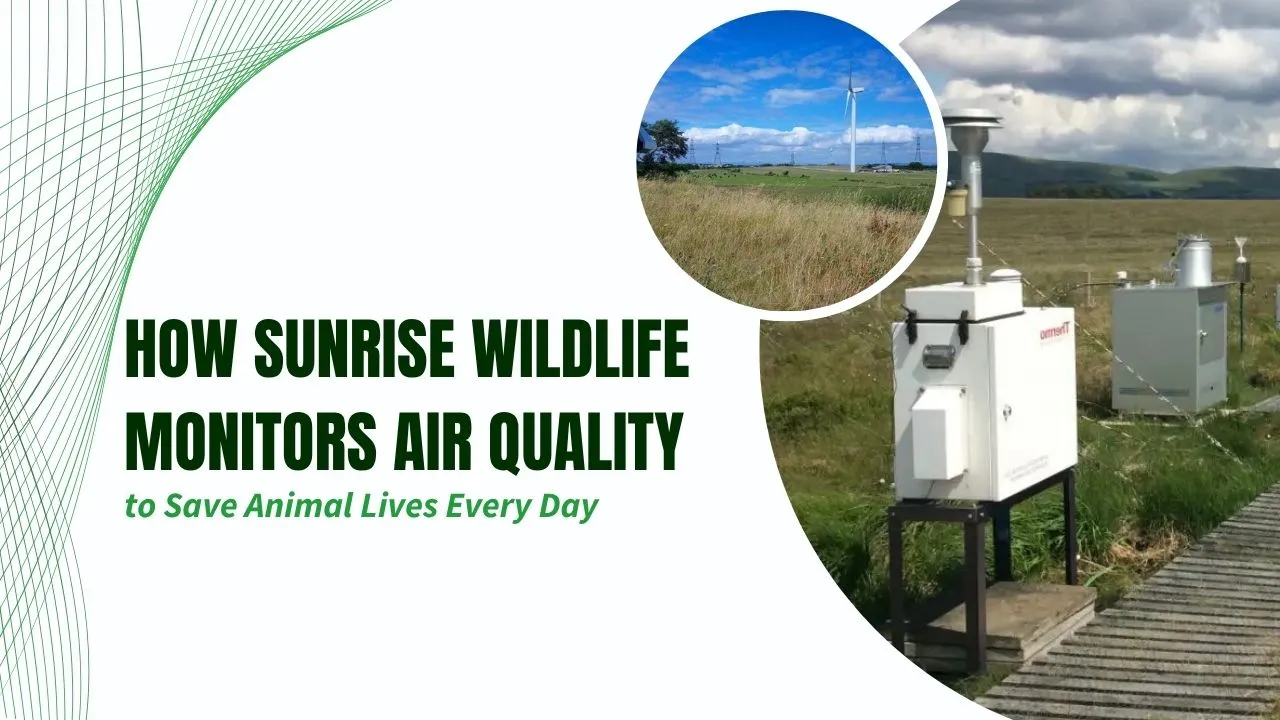 Sunrise Wildlife Monitors Air Quality