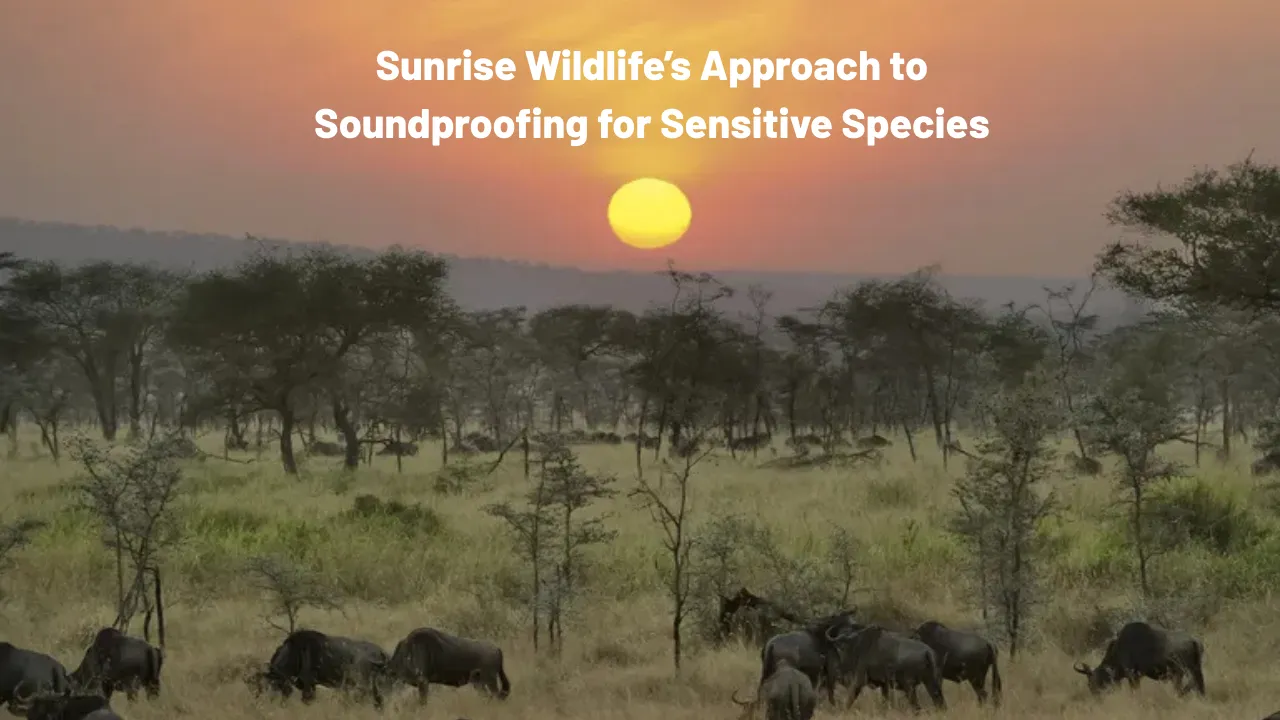 Sunrise Wildlife’s Approach to Soundproofing for Sensitive Species
