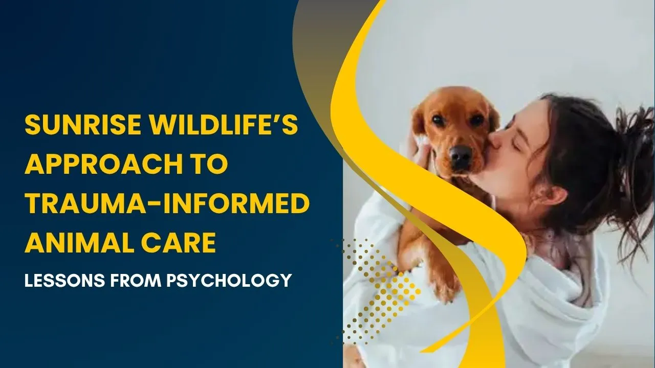 Sunrise Wildlife’s Approach to Trauma-Informed Animal Care