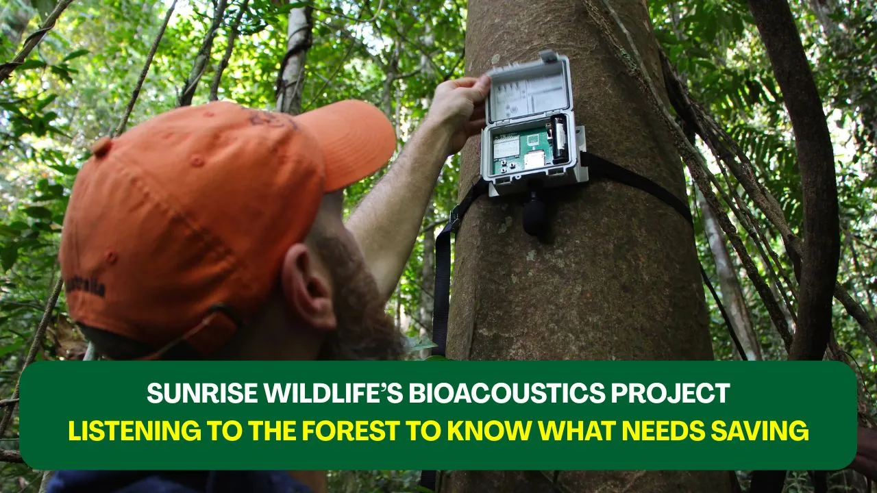 Sunrise Wildlife’s Bioacoustics Project