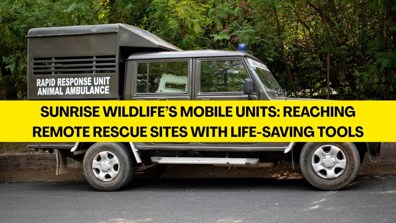 Sunrise Wildlife’s Mobile Units