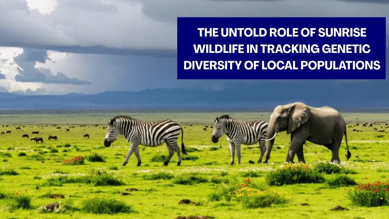 Tracking Genetic Diversity of Local Populations
