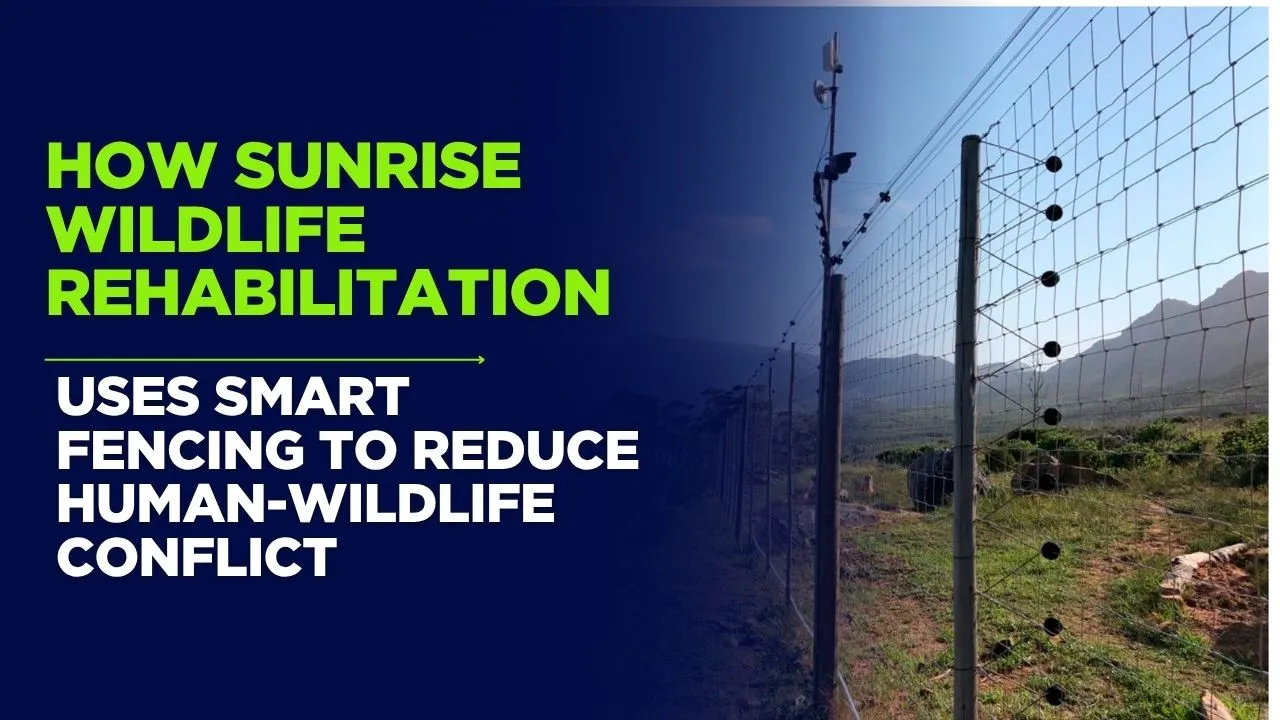 Uses Smart Fencing to Reduce Human-Wildlife Conflict